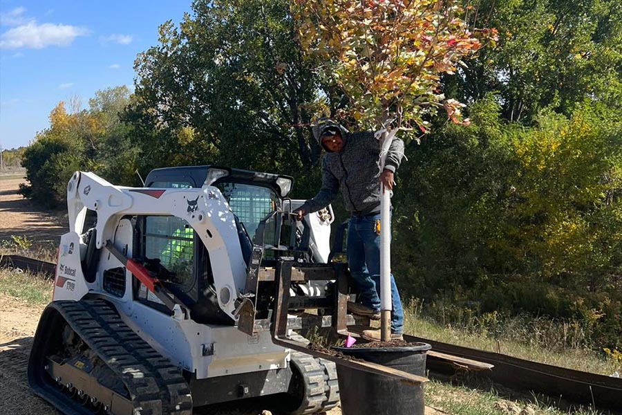 Tree and Shrub Installation